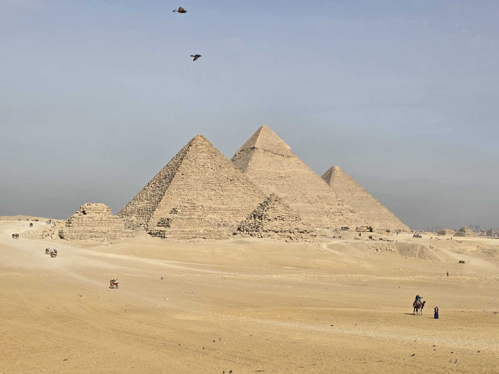 Giza Pyramids, the Sphinx and the Grand Egyptian Museum with lunch